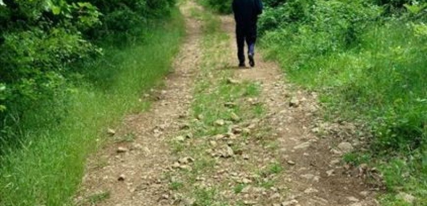 Boljevac, Rtanj – Mirovo 20,57ari