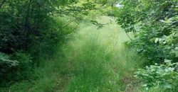 Boljevac, Rtanj – Mirovo 20,57ari