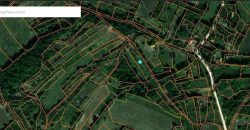 Boljevac, Rtanj – Mirovo 20,57ari