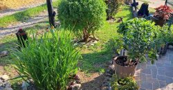 Rtanj, Boljevac – 272kvm na 586kvm