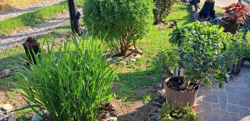 Rtanj, Boljevac – 272kvm na 586kvm