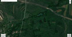 Boljevac, Rtanj – Ilino 1ha 09a 54kvm