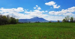 Boljevac, Rtanj – Valakonje 1ha 3a 35kvm