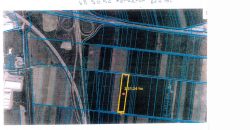 Dobanovačka petlja 231 ar