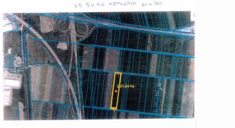 Dobanovačka petlja 231 ar