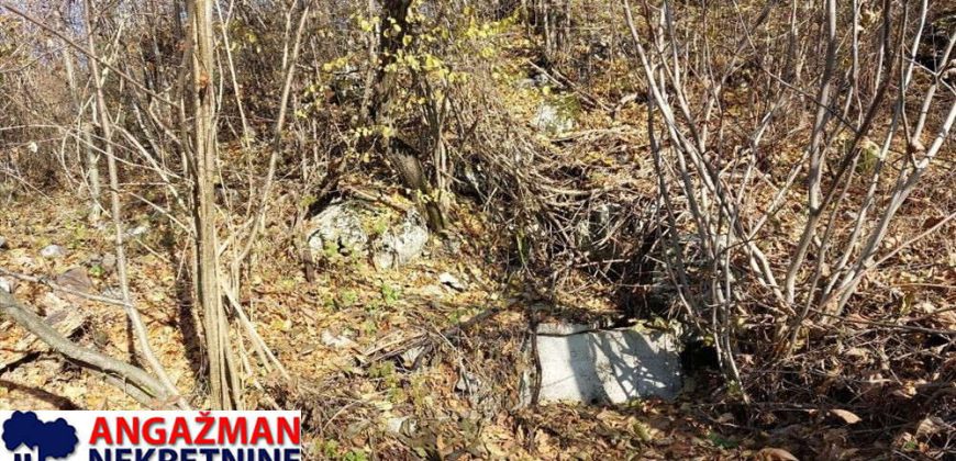 Rtanj-Jablanica,koliba sa imanjem 3ha 06a 22kvm