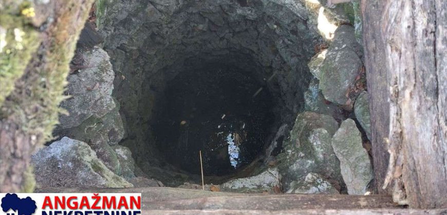 Rtanj-Jablanica,koliba sa imanjem 3ha 06a 22kvm