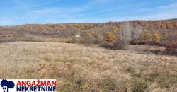 Rtanj-Jablanica,koliba sa imanjem 3ha 06a 22kvm