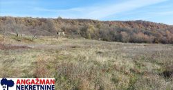 Rtanj-Jablanica,koliba sa imanjem 3ha 06a 22kvm