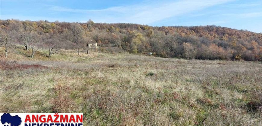 Rtanj-Jablanica,koliba sa imanjem 3ha 06a 22kvm