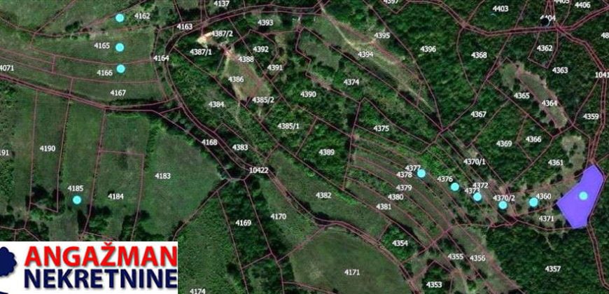 Rtanj-Jablanica,koliba sa imanjem 3ha 06a 22kvm