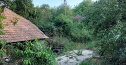 Rtanj – Rujište kuća 216kvm na 35,78ari