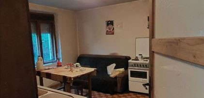 Rtanj – Rujište kuća 216kvm na 35,78ari