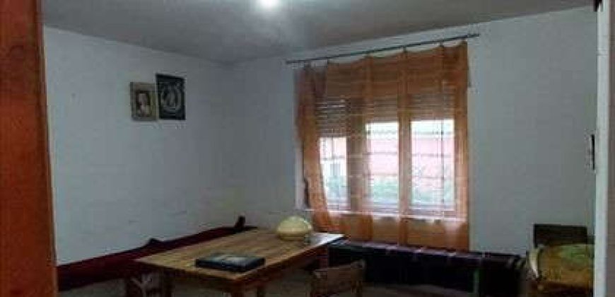 Rtanj – Rujište kuća 216kvm na 35,78ari