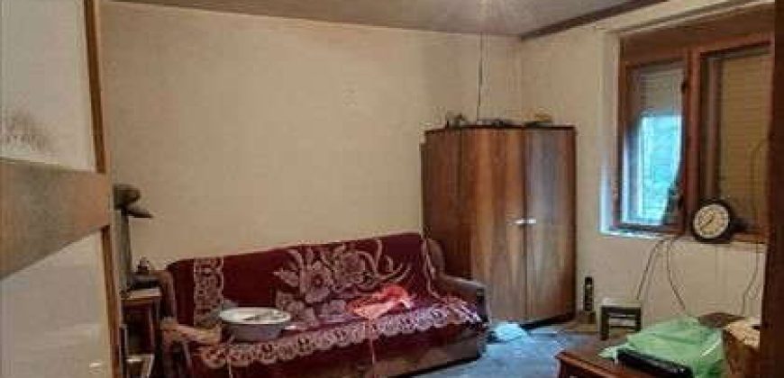 Rtanj – Rujište kuća 216kvm na 35,78ari