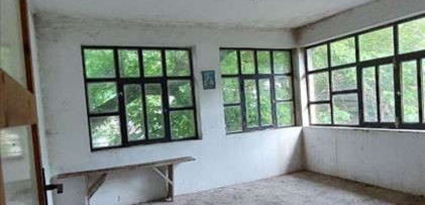 Rtanj – Rujište kuća 216kvm na 35,78ari