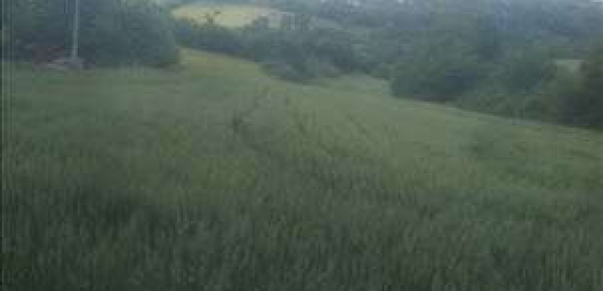 Sopot – Babe 72,11a – dve njive