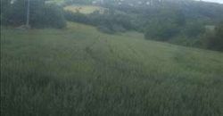 Sopot – Babe 1ha 1ar 70kvm