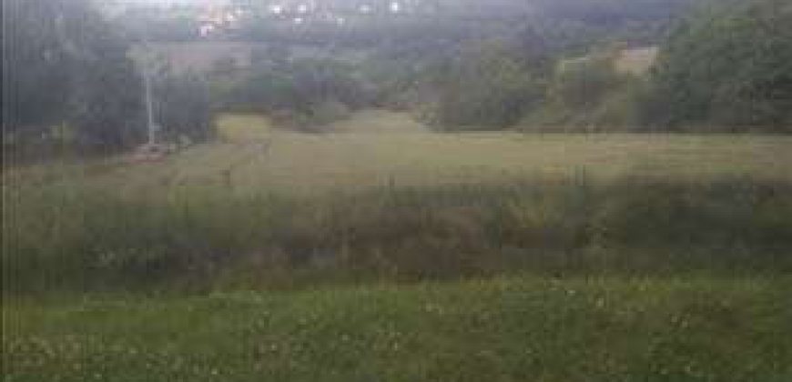 Sopot – Babe 72,11a – dve njive