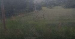 Sopot – Babe 72,11a – dve njive