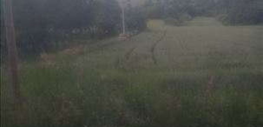 Sopot – Babe 1ha 1ar 70kvm