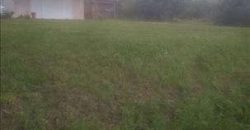 Sopot – Babe 1ha 1ar 70kvm