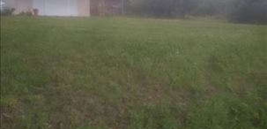 Sopot – Babe 1ha 1ar 70kvm