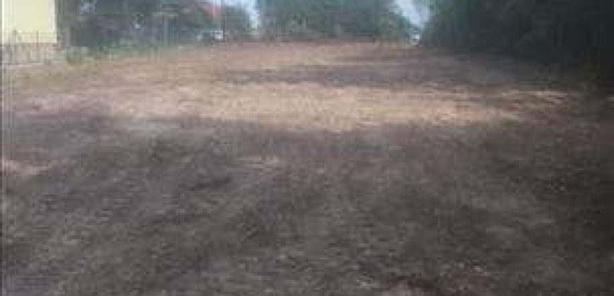 Sopot – Babe 72,11a – dve njive