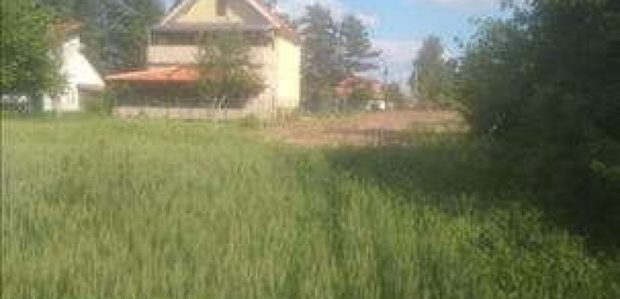 Sopot – Babe 72,11a – dve njive