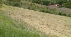 Sopot – Popović 66ari