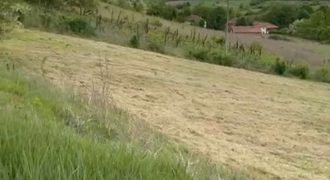 Sopot – Popović 66ari