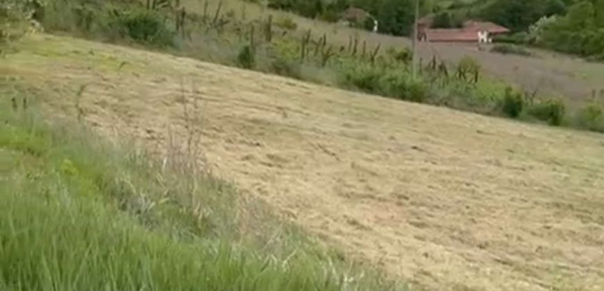 Sopot – Popović 66ari