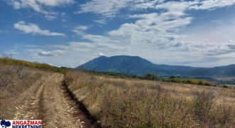 Boljevac, Rtanj – Krivi vir 1ha 48ari 66kvm