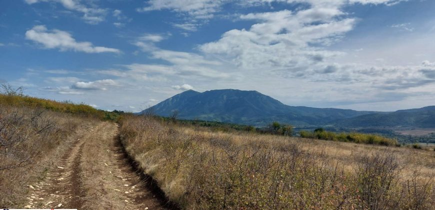 Boljevac, Rtanj – Krivi vir 1ha 48ari 66kvm