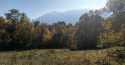 Rtanj, Lukovo – Golemo polje 3ha 82ara 29kvm