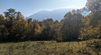 Rtanj, Lukovo – Golemo polje 3ha 82ara 29kvm