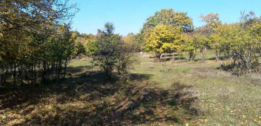 Rtanj, Lukovo – Golemo polje 3ha 82ara 29kvm