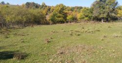 Rtanj, Lukovo – Golemo polje 3ha 82ara 29kvm