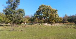 Rtanj, Lukovo – Golemo polje 3ha 82ara 29kvm