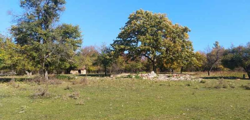 Rtanj, Lukovo – Golemo polje 3ha 82ara 29kvm