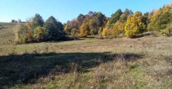 Rtanj, Lukovo – Golemo polje 3ha 82ara 29kvm