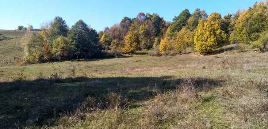 Rtanj, Lukovo – Golemo polje 3ha 82ara 29kvm