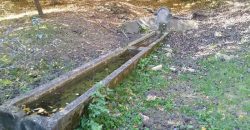 Rtanj, Lukovo – Golemo polje 3ha 82ara 29kvm