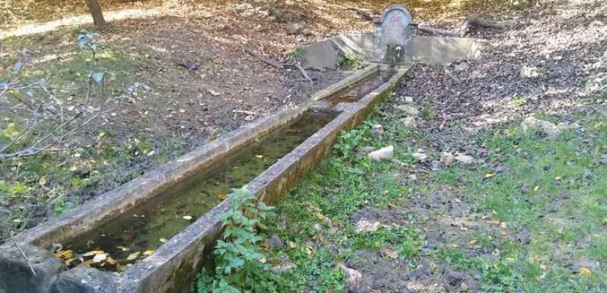 Rtanj, Lukovo – Golemo polje 3ha 82ara 29kvm