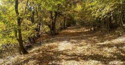 Rtanj, Lukovo – Golemo polje 3ha 82ara 29kvm