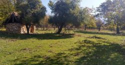 Rtanj, Lukovo – Golemo polje 3ha 82ara 29kvm