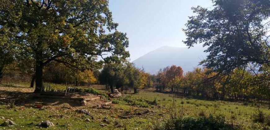 Rtanj, Lukovo – Golemo polje 3ha 82ara 29kvm