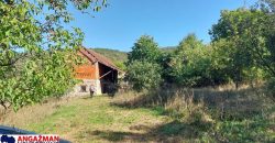 Boljevac, Rtanj – Krivi vir 75kvm + 11,83ari