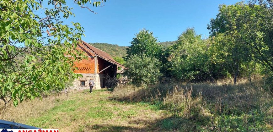 Boljevac, Rtanj – Krivi vir 75kvm + 11,83ari