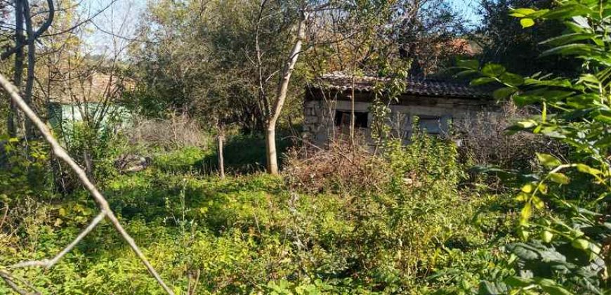 Boljevc, Rtanj – Bačevica 72kvm + 7,24ari